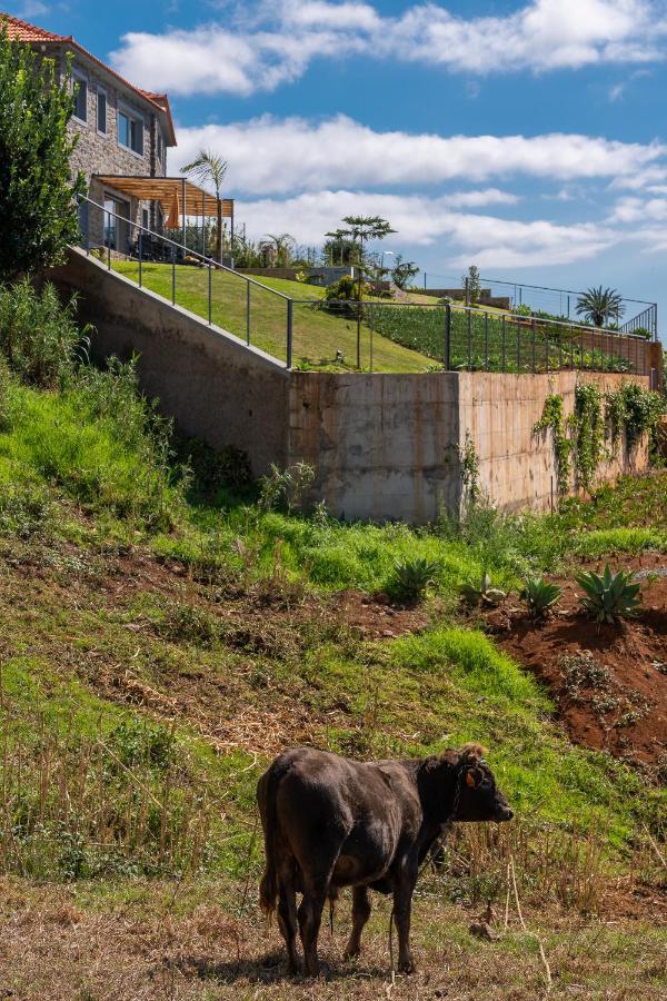 Villa Fauna - Nature & Tranquility - Heated Pool Optional Prazeres Bagian luar foto